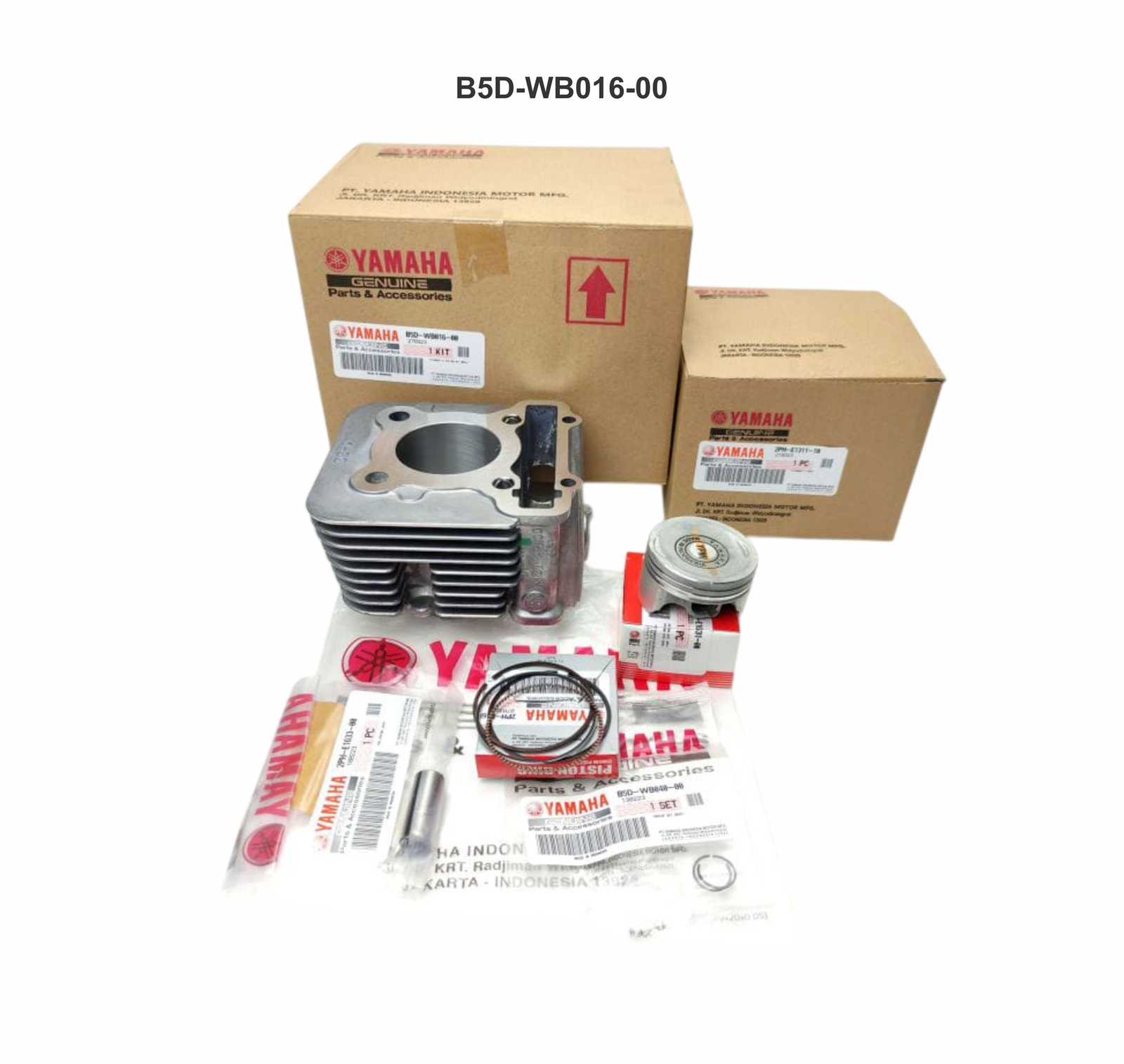 BURENG & PISTON SET FREEGO/MIO M3